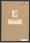 Cocconeis wrightii O'Meara (de-Toni-Nr.: Genus 40, Species 1822) Zeichnungen Sammlung Grunow Nr. 3614 (NHMW-BOT-W0371214)